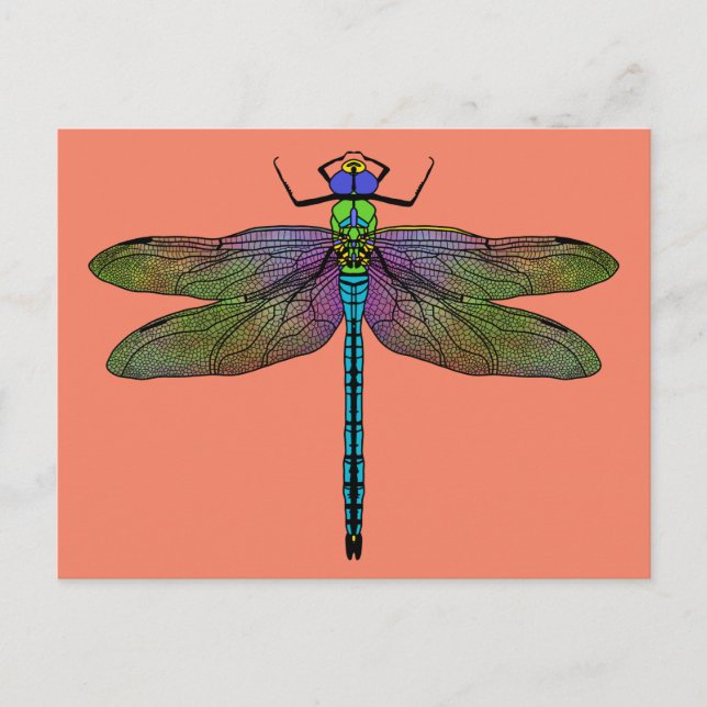 Colorful Emperor Dragonfly Art Postcard (Front)