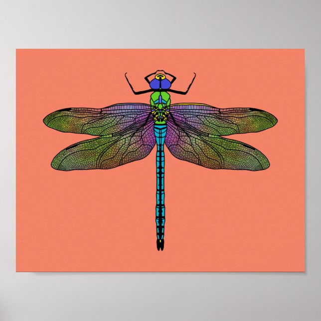 Colorful Emperor Dragonfly Art Poster (Front)
