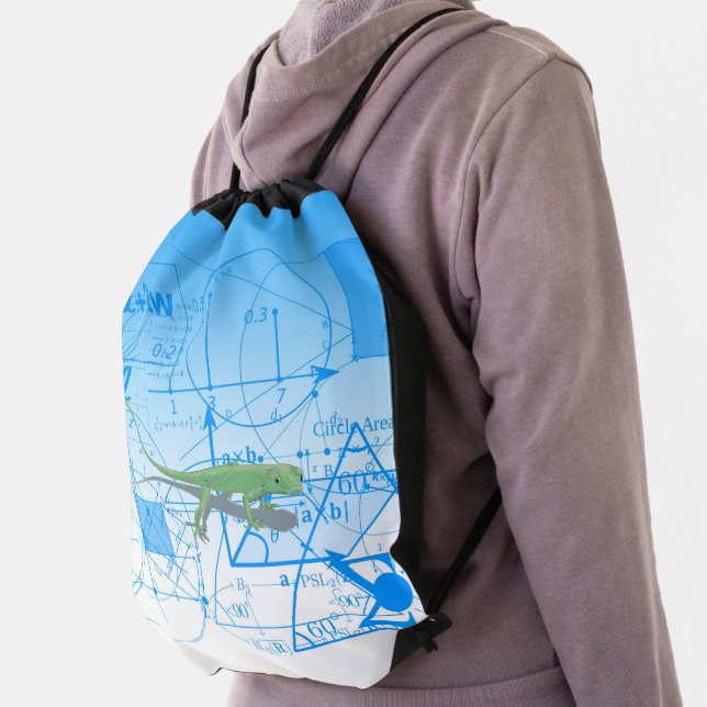 Colorful Equations Geometric Designs Lizard Drawst Drawstring Bag (Insitu)