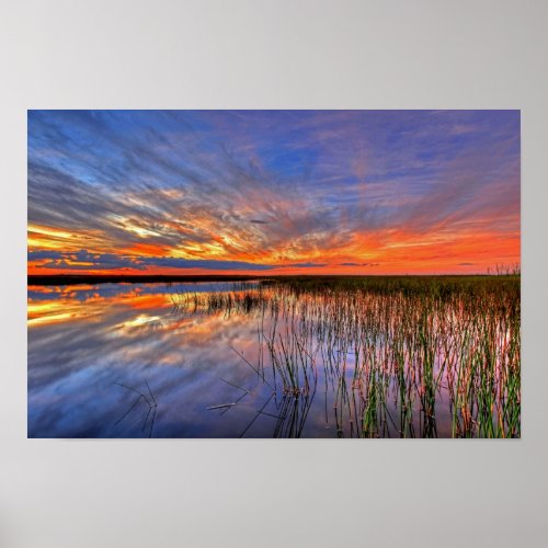 Colorful Everglades Sunset Poster