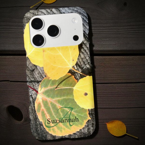 Colorful Fall Aspen Tree Leaves on Log Photo