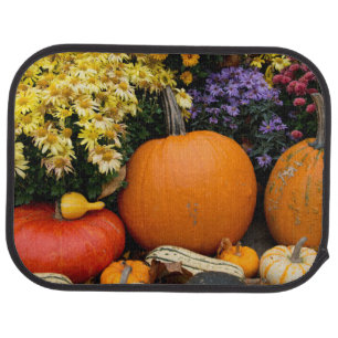 Colorful fall decorative pumpkin display car floor mat