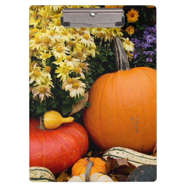 Colorful fall decorative pumpkin display clipboard (Front)