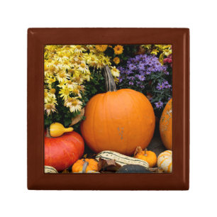 Colorful fall decorative pumpkin display jewelry box