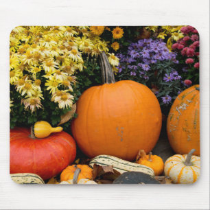 Colorful fall decorative pumpkin display mouse pad