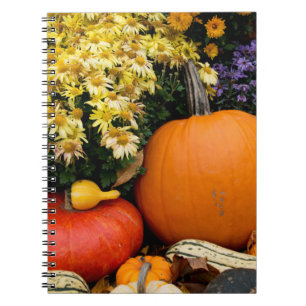 Colorful fall decorative pumpkin display notebook