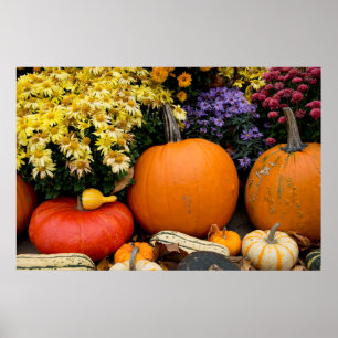 Colorful fall decorative pumpkin display poster