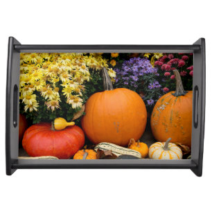 Colorful fall decorative pumpkin display serving tray