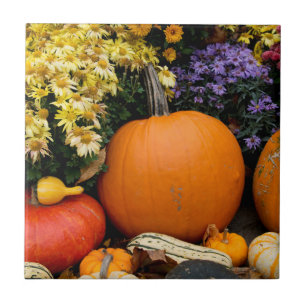 Colorful fall decorative pumpkin display tile