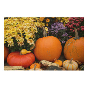 Colorful fall decorative pumpkin display wood wall art