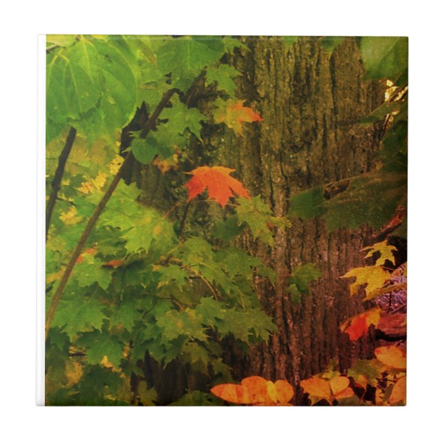 Colorful fall leaf ceramic tile (Front)