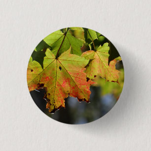 Colorful fall leaves button