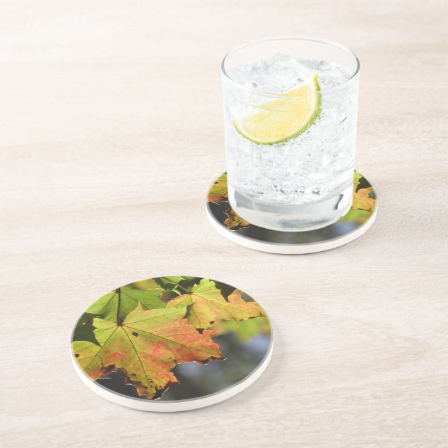 Colorful fall leaves coaster (Side)