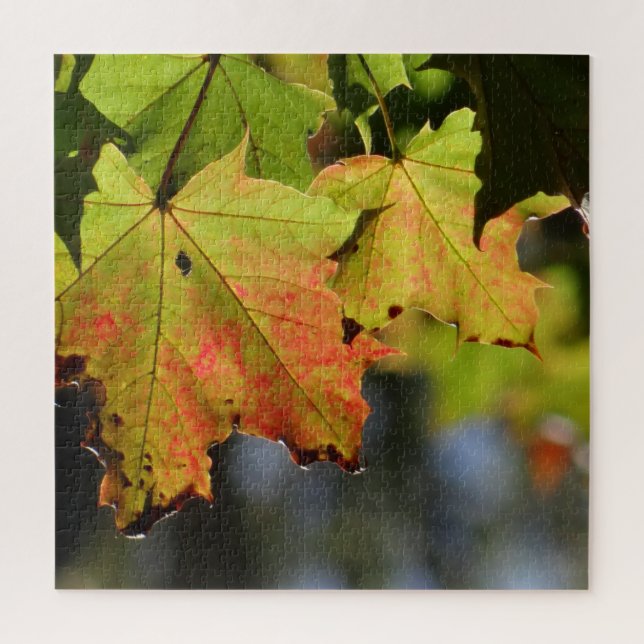 Colorful fall leaves jigsaw puzzle (Vertical)