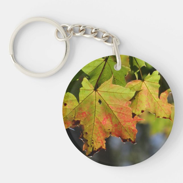 Colorful fall leaves keychain (Front)