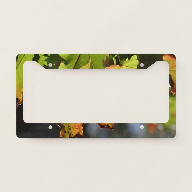 Colorful fall leaves license plate frame (Front)
