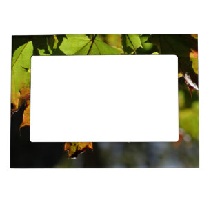 Colorful fall leaves magnetic frame