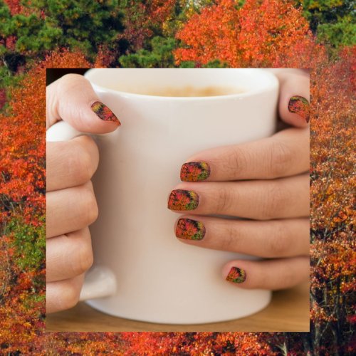 Colorful Fall Leaves Minx Nail Art