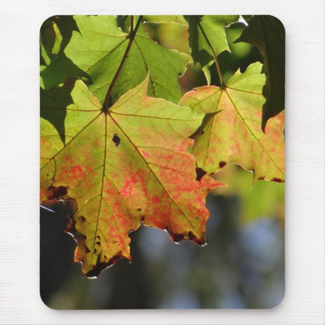Colorful fall leaves mouse pad (Front)