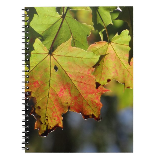 Colorful fall leaves notebook (Front)
