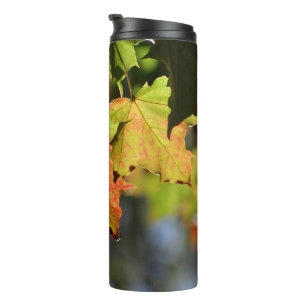 Colorful fall leaves thermal tumbler