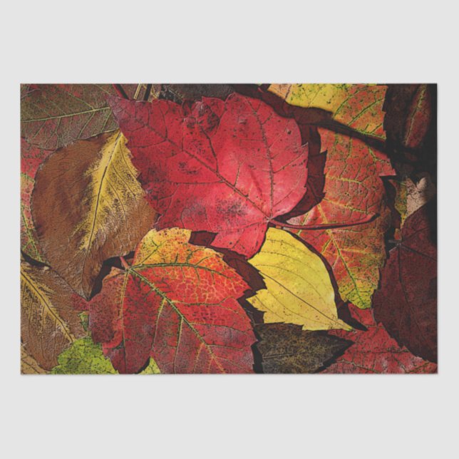 Colorful Fall Leaves Tissue Paper (Front)