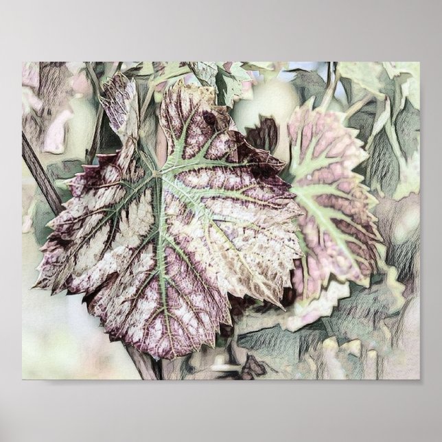 Colorful Fall leaves with fall colors drawing  Poster (Front)