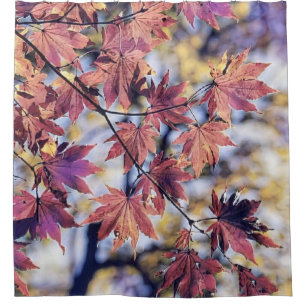 Colorful Fall leaves with fall colors watercolor Shower Curtain