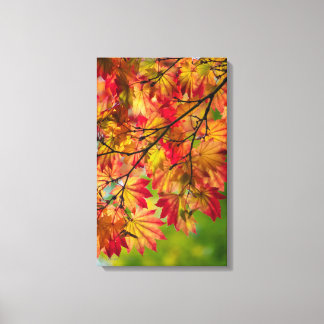 Colorful Fall Leaves Wrapped Canvas Print