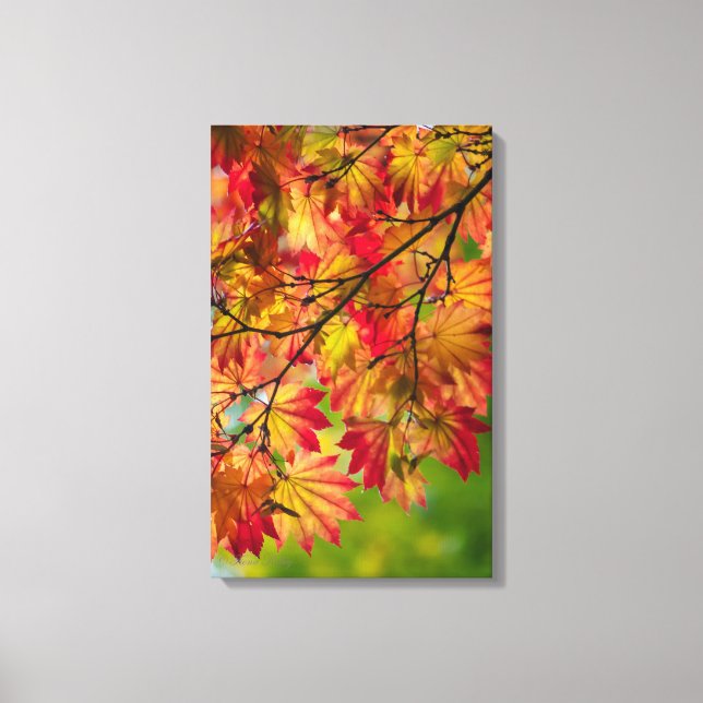 Colorful Fall Leaves Wrapped Canvas Print (Front)
