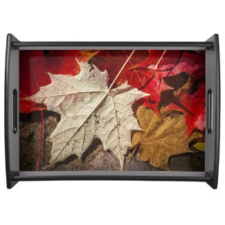 Colorful Fall Maple Leaves Floating Service Trays