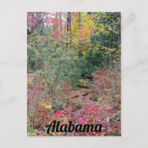 Colorful Fall Tree Collage Postcard