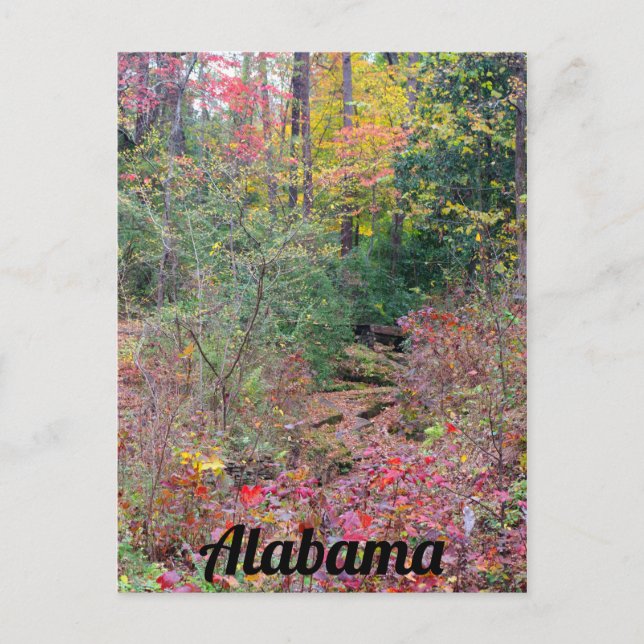 Colorful Fall Tree Collage Postcard (Front)