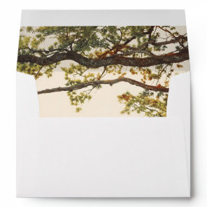 Colorful Fall Tree Leaves and Branches Rustic Envelope