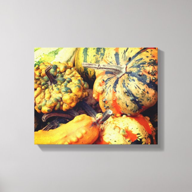 Colorful Fancy Gourds Close Up Canvas Print (Front)