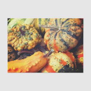 Colorful Fancy Gourds Close Up Decoupage Tissue Paper