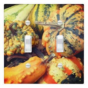Colorful Fancy Gourds Close Up   Light Switch Cover