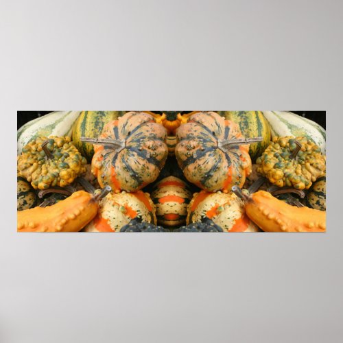 Colorful Fancy Gourds Close Up Mirror Abstract Poster