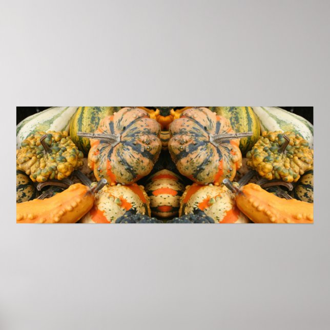 Colorful Fancy Gourds Close Up Mirror Abstract Poster (Front)