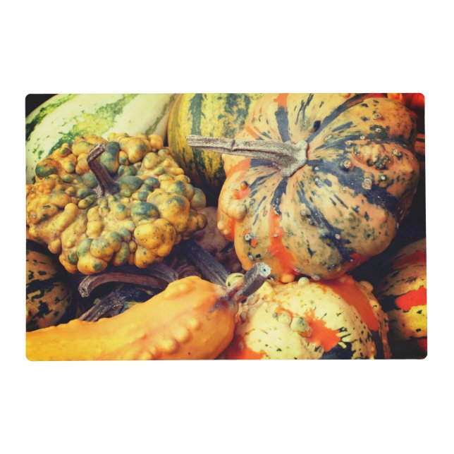 Colorful Fancy Gourds Close Up  Placemat (Front)