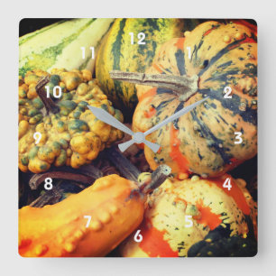 Colorful Fancy Gourds Close Up  Square Wall Clock