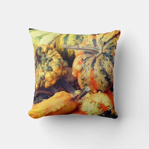 Colorful Fancy Gourds Close Up Throw Pillow