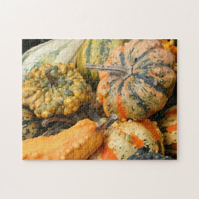 Colorful Fancy Gourds Fall  Jigsaw Puzzle (Horizontal)