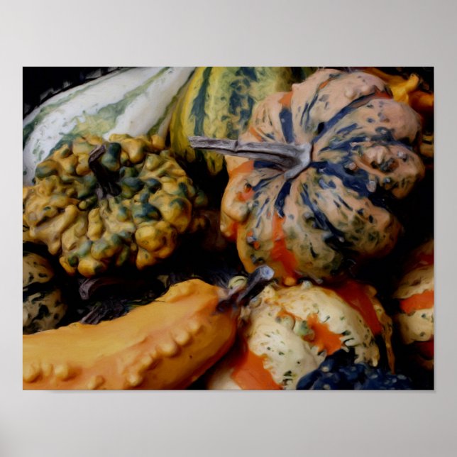 Colorful Fancy Gourds Photo Oil Painting Poster (Front)