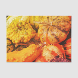 Colorful Fancy Gourds Vintage Decoupage Tissue Paper