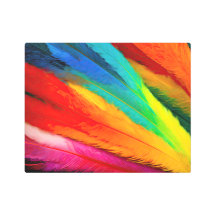 Colorful Feathers