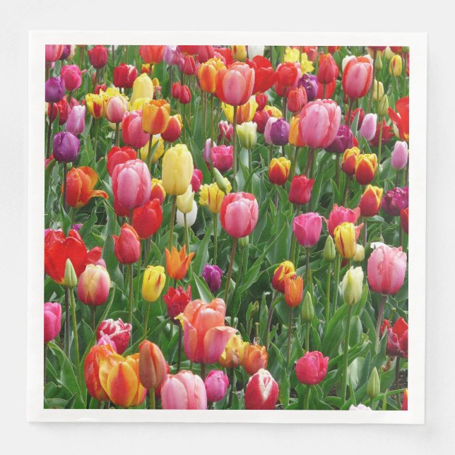 Colorful Field Of Tulips Flowers Paper Napkins (Front)