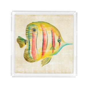 Colorful Fish Acrylic Tray