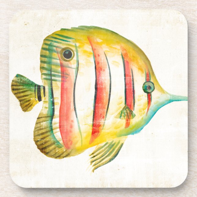 Colorful Fish Beverage Coaster (Front)