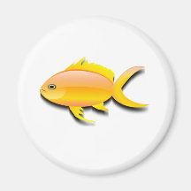 Colorful fish design magnet